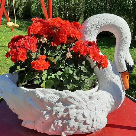 La Cupoletta Holiday House -Magnolia Trevignano Romano Zewnętrze zdjęcie