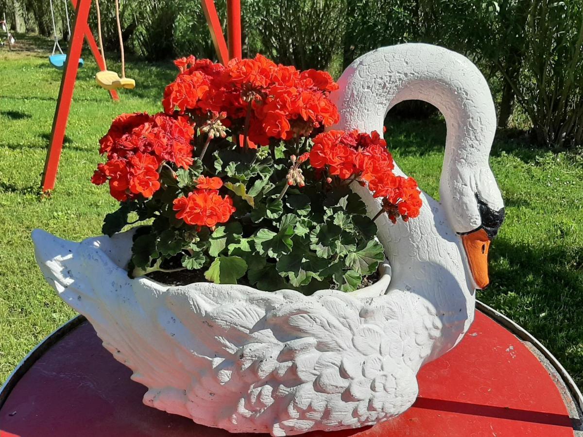 La Cupoletta Holiday House -Magnolia Trevignano Romano Zewnętrze zdjęcie